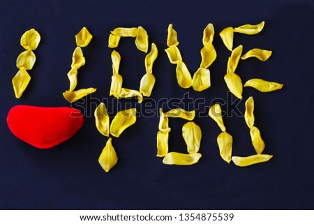 Close-up - on a black background it is written with yellow petals of a tulip - I love you