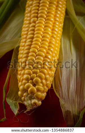 One fresh corn cob  close-up on red