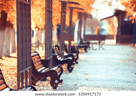 landscape in autumn park bench / beautiful garden bench, concept of rest, nobody in autumn park, landscape background, fall