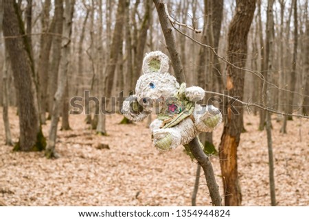 plush toy abandoned in the forest