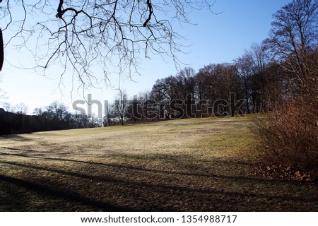 Søndermarken Park in winter, Copenhagen, Denmark. A large clearing of grass among the grove.