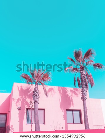 Canary island. Palm. Pink Pastel colours trend. Fashion travel vibes
