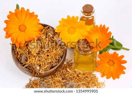 Herbal calendula officinalis in the glass and drop oil Isolated
