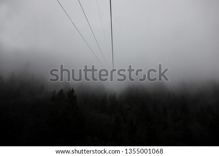 Foggy picture from a cable car in autumn with limited visibility