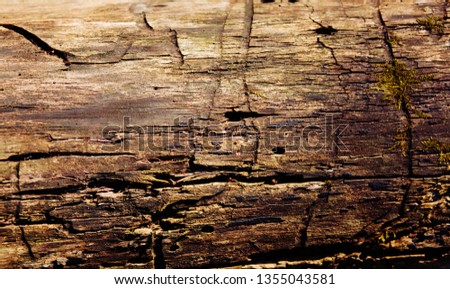 Old wood background. Gorizontal natural wooden texture.