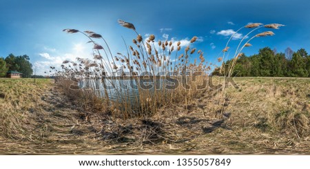 full seamless hdri spherical panorama 360 degrees angle view on thickets of reeds near wide lake in sunny day. 360 panorama in equirectangular projection, ready VR AR virtual reality content