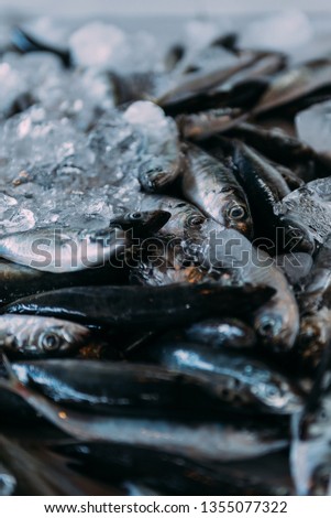 Fish and seafood on the ice at the fish market. Ingredients for mediterranean diet. Selective focus and small depth of field