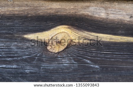 Old wood plank with knot. 