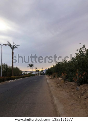 palm trees on the road against purple and gold sunset sky with clouds/ summertime vacation background 
