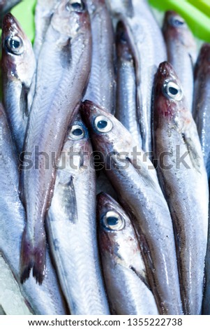 FreshSardines  Atlantic fish market.