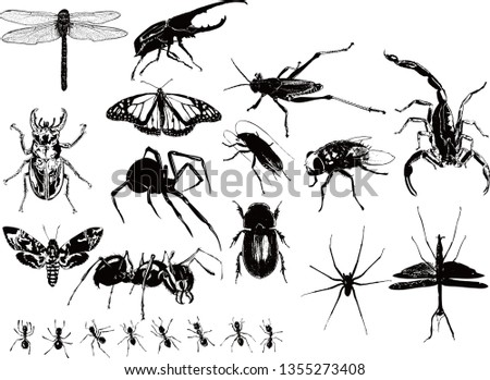 Insect silhouette vector