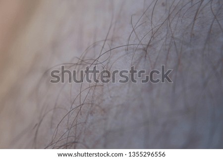 macro human hair