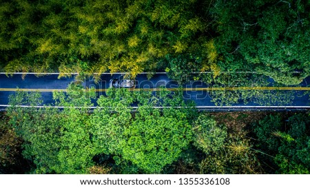 Car in rural road in deep rain forest with green tree forest, Aerial view car in the forest.