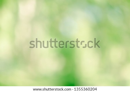 nature green bokeh sun light flare and blur leaf abstract texture background