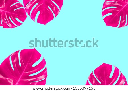 Vivid pink monstera leaves as frame on mint colored background. Exotic surreal pattern. Top view, flat lay.