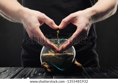 Two male hands are caring for a small garden with tropical plants, succulents and sand in a glass pot. Concept of protecting nature and the environment on a black background.