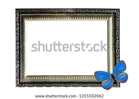 frame with butterfly isolated on white background
