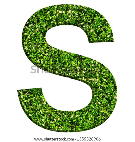 Alphabet letter S made of green grass and clovers. Letter isolated on white background