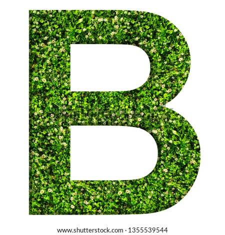 Alphabet letter B made of green grass and clovers. Letter isolated on white background