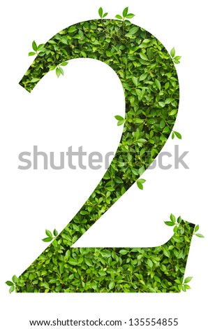 Number leaf,Two