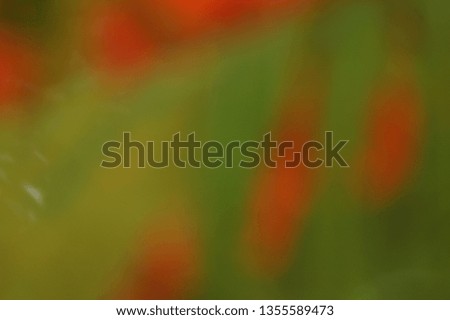 Green and red  soft background