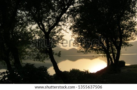                               Trees along the lack and with dark shades  Royalty-Free Stock Photo #1355637506