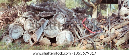 Panoramic view of a saw and a hand saw on a pile of firewood, in the forest.