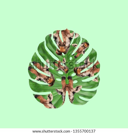 Palm leaf with giraffes pattern.
