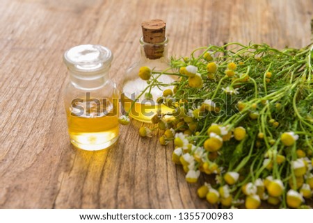 Essential oil in glass bottle with bouquet of fresh chamomile flowers, beauty treatment. Spa concept


