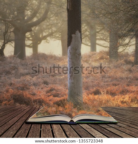 Beautiful Autumn Fall Winter forest woodland landscape scene in pages of open book, story telling concept