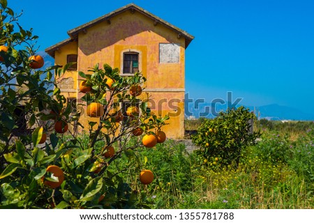 Classic country side farm home in Sicily at the base of the mountains at the edge of the sea Royalty-Free Stock Photo #1355781788