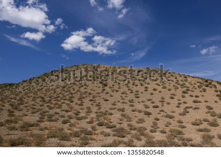 A desert hill with colorful grass hummocks under wonderful sky