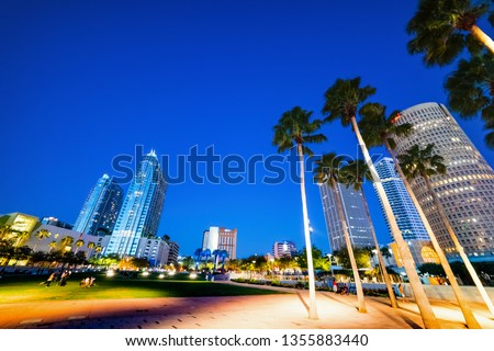 Palms and skyscrapers in Curtis Hixon waterfront park in Tampa at night. Florida, USA