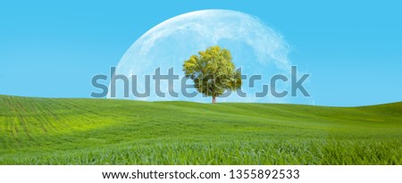 Beautiful landscape with green grass field and lone tree in the background full "Elements of this image furnished by NASA"