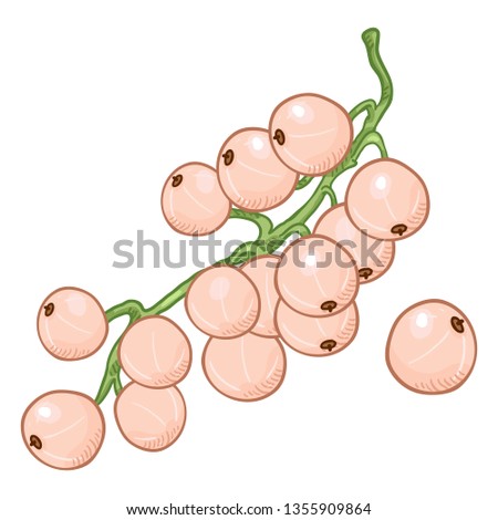 Vector Cartoon White Currant Berries on Branch