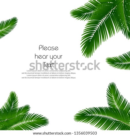 Palm leaf background. Palms leaves for print.  