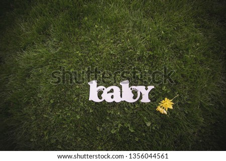baby wood word on grass background