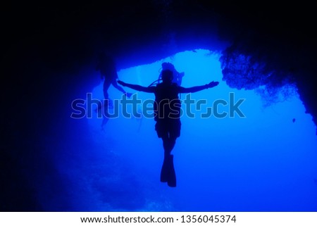  cebu underwater photo                                