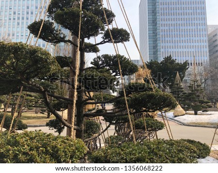 Trees in Japanese gardens and large high-rise buildings background.