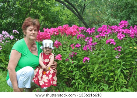 Grandmother holds granddaughter in her arms. Girl and old woman on background of the garden with flowers in summer sunny day. Chamomile, cornflowers and poppies bloom in flower bed. happy retirement
