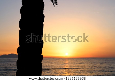 Sunrise on the Red Sea with palm tree Royalty-Free Stock Photo #1356135638