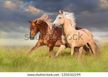 Red and palomino horse with long blond mane in motion on field