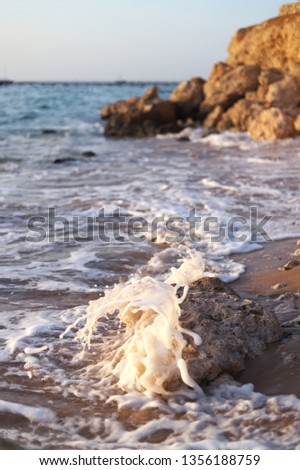 rock on the beach Royalty-Free Stock Photo #1356188759