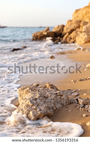 rock on the beach on the red sea in Egypt Royalty-Free Stock Photo #1356193316