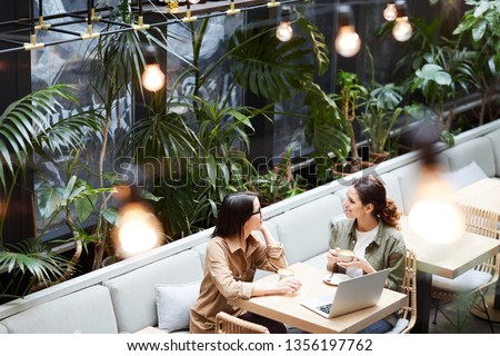 Above view of content young lady entrepreneurs sitting at table in cafe with tropical plants and discussing business strategy while drinking coffee Royalty-Free Stock Photo #1356197762