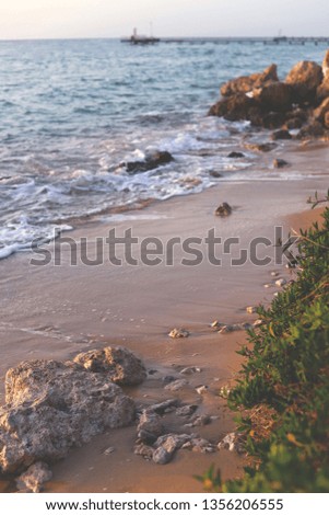 The red sea beach
 Royalty-Free Stock Photo #1356206555