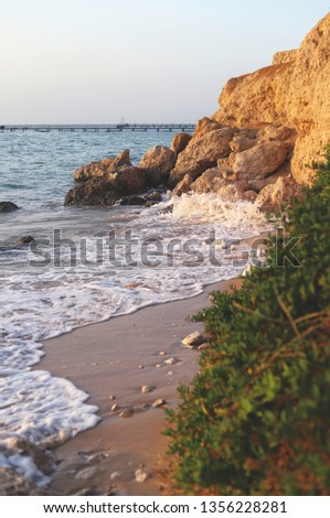 Beautiful beach with plants and rocks somewhere in Egypt Royalty-Free Stock Photo #1356228281