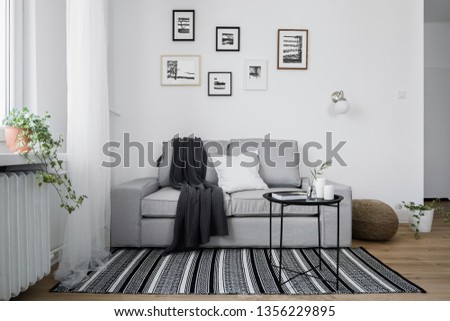 Stylish interior with gray sofa and pattern black and white rug