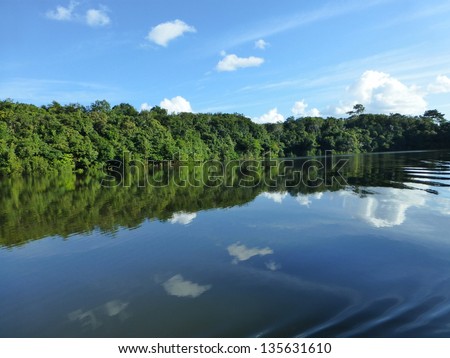 Scenic landscape, the Juma River about 120 km from Manaus. Amazonas, Brazil Royalty-Free Stock Photo #135631610