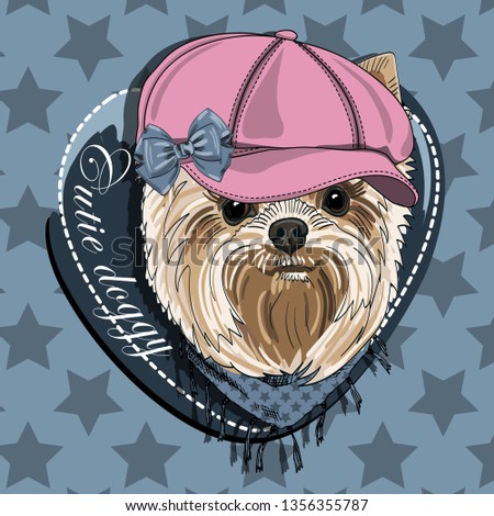 Pretty Yorkshire Terrier with pink hat, bow and scarf. Hand drawn illustration of dressed dog.  Vector illustration.